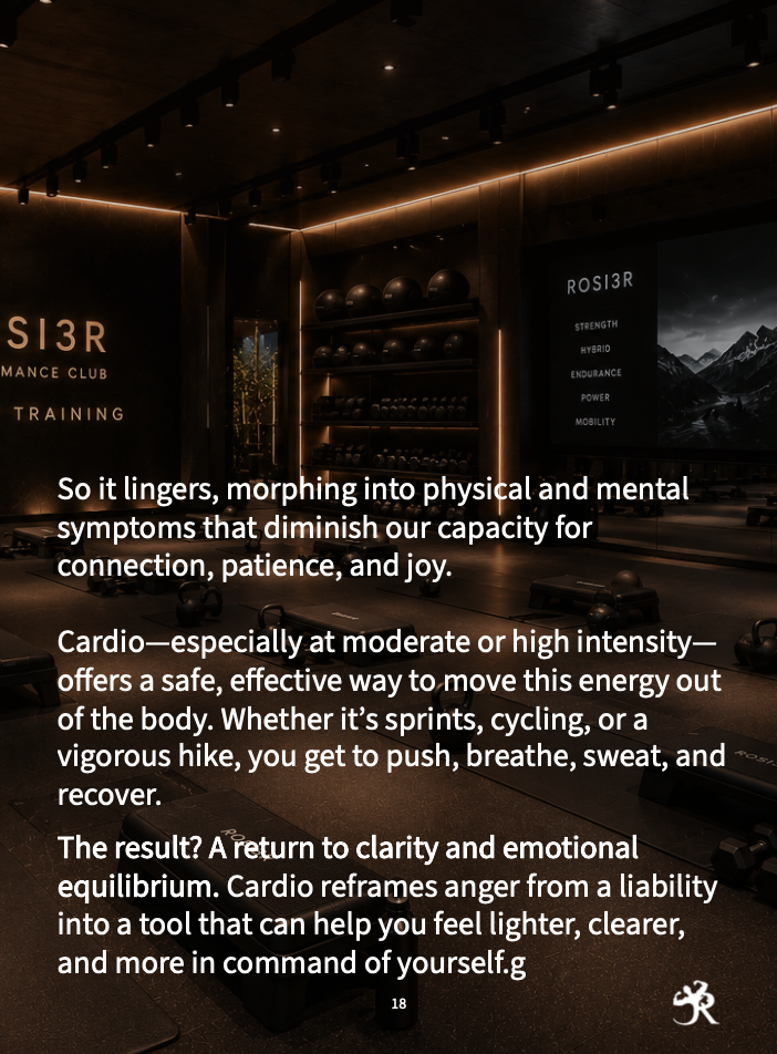 CARDIO AS EMOTIONAL REGULATION V.2 - Image 3